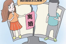 东乡族债务清欠服务